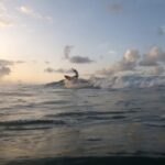 Surf en Guadeloupe : tout ce qu'il y a à savoir