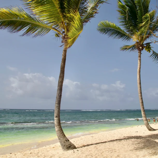 Quand partir en Guadeloupe ?